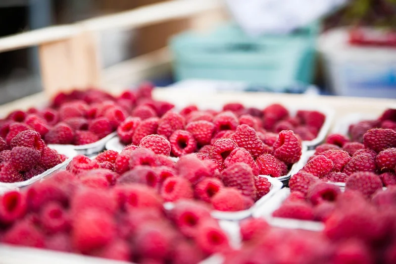Opportunités de marché : l'art de l'anticipation