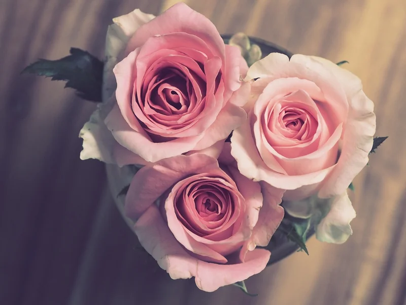 Engagement client continu